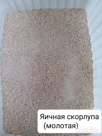 Мел кормовой, Ракушка, Канареечное семя, Сепия