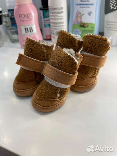 Обувь для собак мелких пород