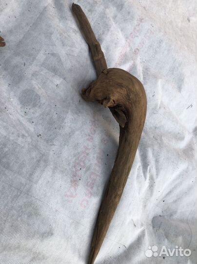 Коряги для аквариума