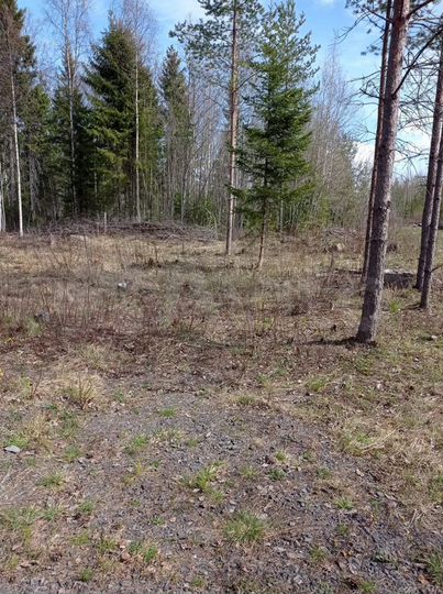 Участок 14 сот. (ИЖС)