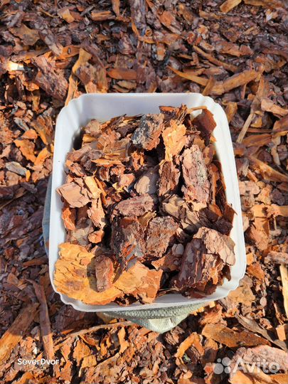 Мульча сосновая кора