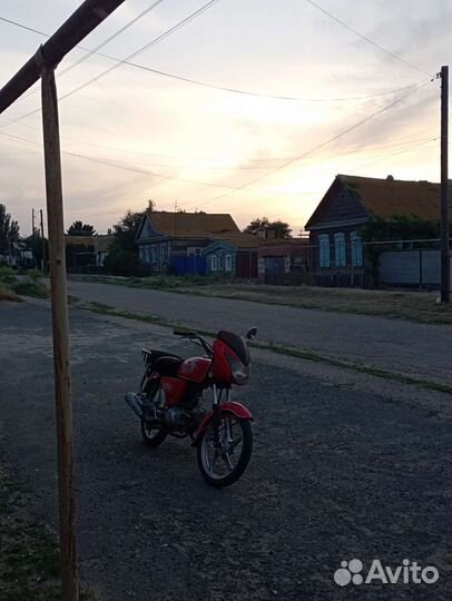 Альфа Спорт 110сс