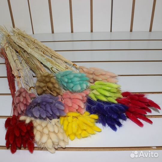 Сухоцветы Лагурус