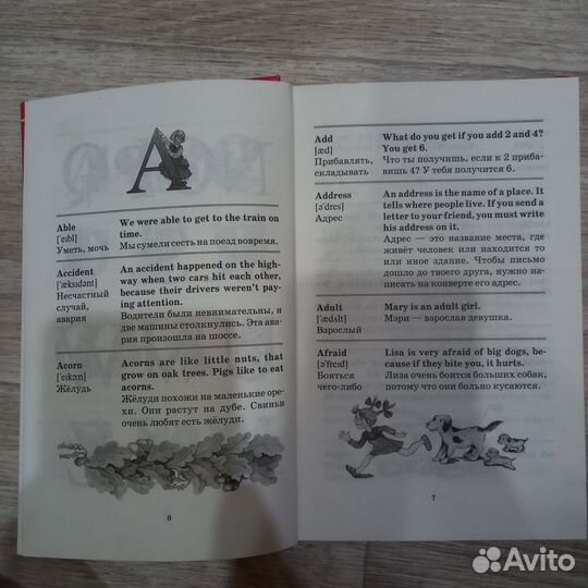 Англо русский словарь с иллюстрациями