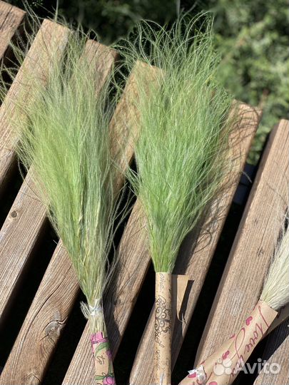 Ковыль (стифа)