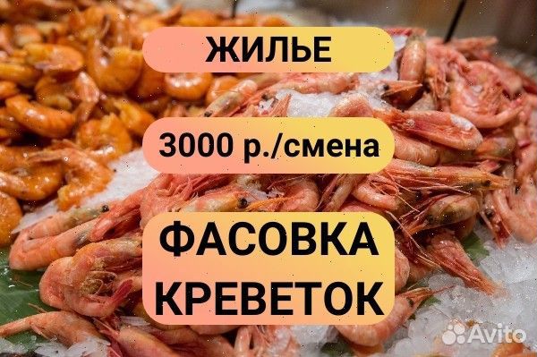 Фасовщик на вахту