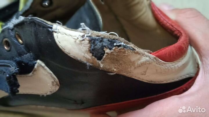 Коньки конькобежный спорт