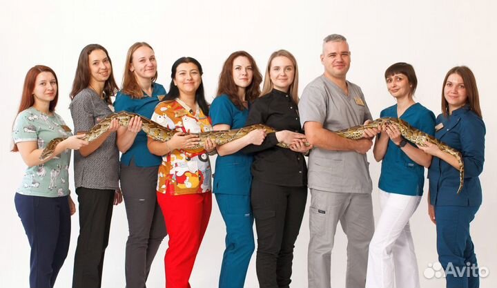 Ветеринарная клиника Родентовет Саратов