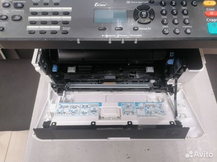 Мфу (принтер-сканер-копир) kyocera ecosys M2135dn