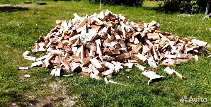 Дрова Береза от 1 куба в Сертолово