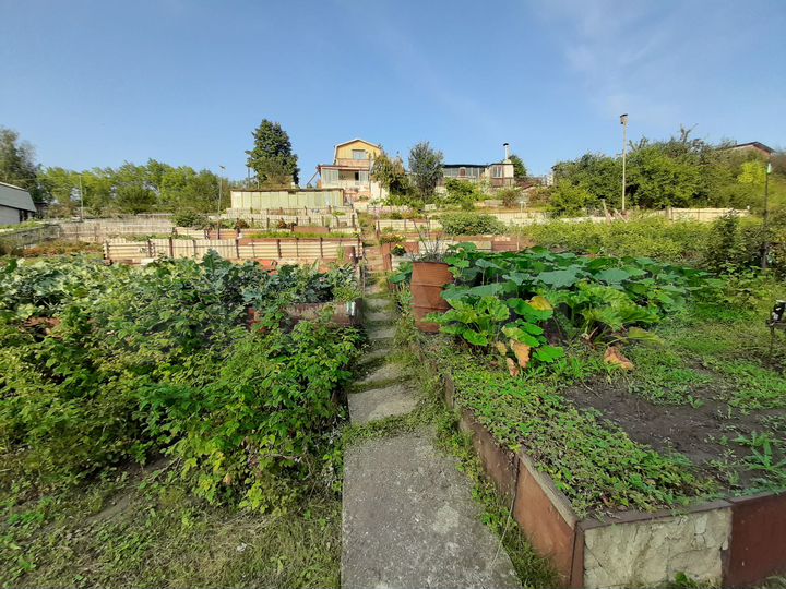 Дача 50 м² на участке 11,5 сот.