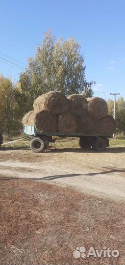 Продам сено в рулонах