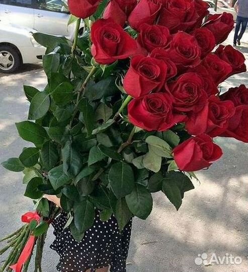 Высокие розы Гигантские розы с доставкой