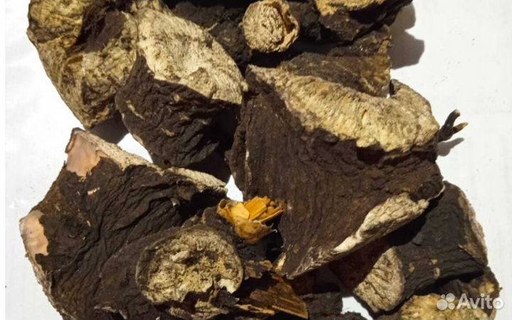 Пион марьин корень