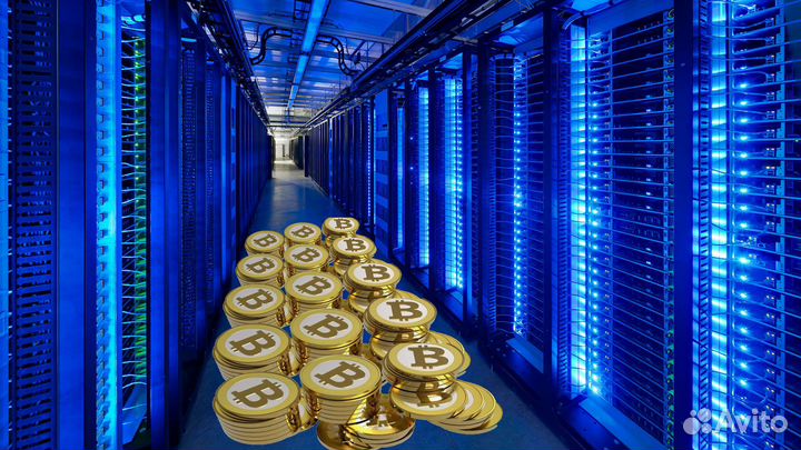 Готовая майнинг ферма от 2х мгв