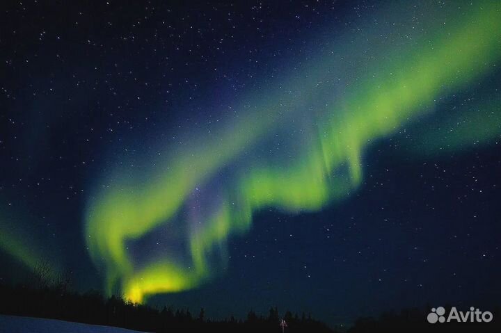 Авторский Тур в Териберку из Перми