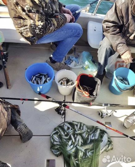 Рыбалка в открытом море