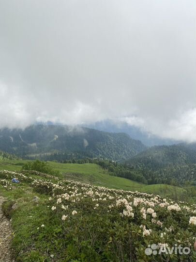 Экскурсия на Красную поляну / Закат в горах