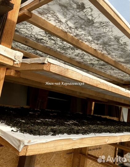 Иван-чай листовой и гранулированный гранулы с трав