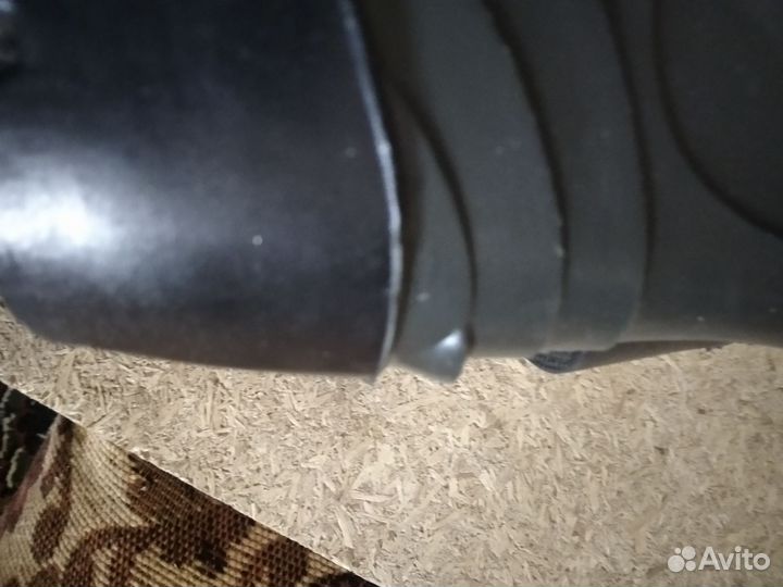 Забродники рыбацкие толстые