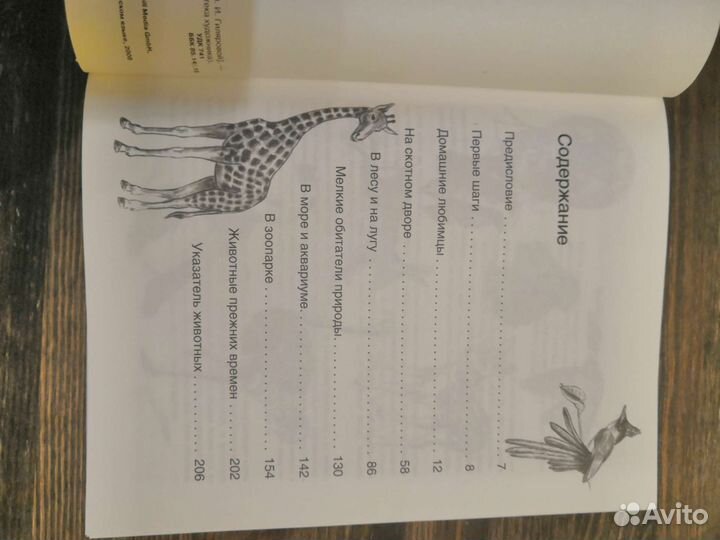 Книга для начинающих художников