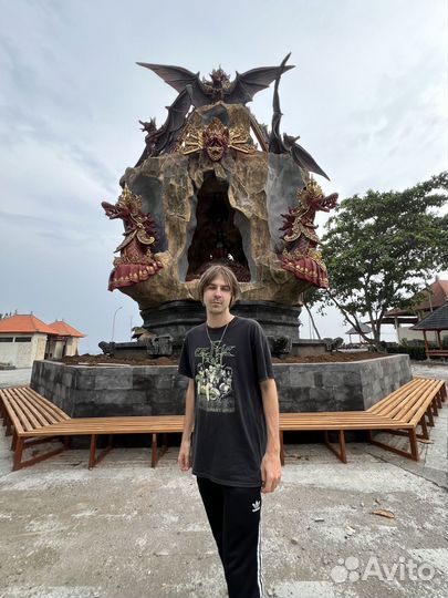 Веб разработчик