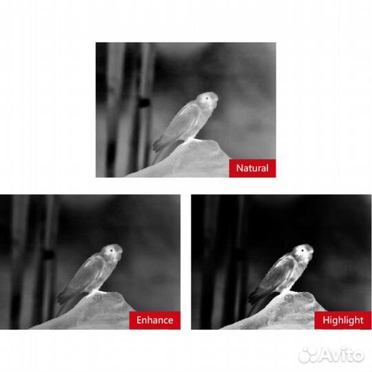 Новый Тепловизор guide TK631