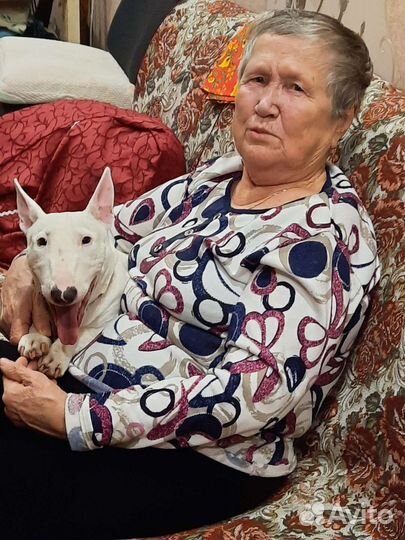 КАМА Кама-Евро-129 195/55 R15