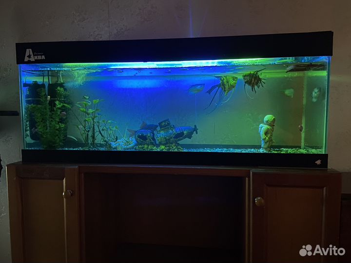 Аквариум