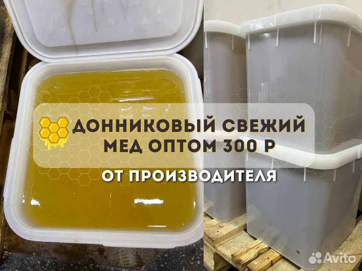 Свежий донниковый мёд. Качка 2023 Оптом