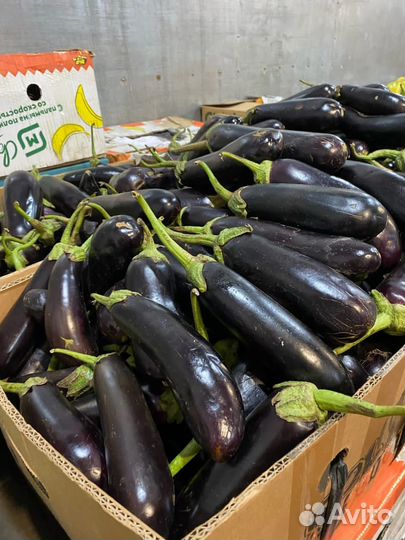 Доставка продуктов питания