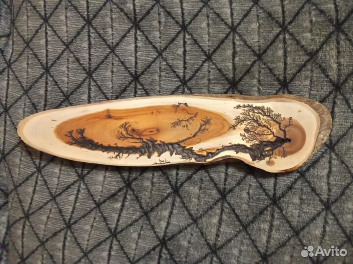 Декоративный спил на стену из дерева(черёмуха)