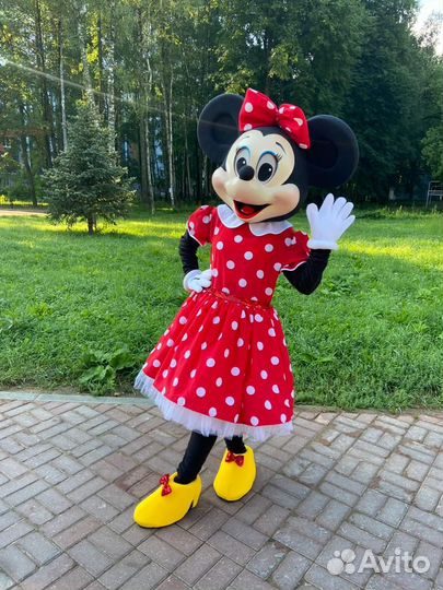 Ростовая кукла. Экспресс-поздравления от 15 минут