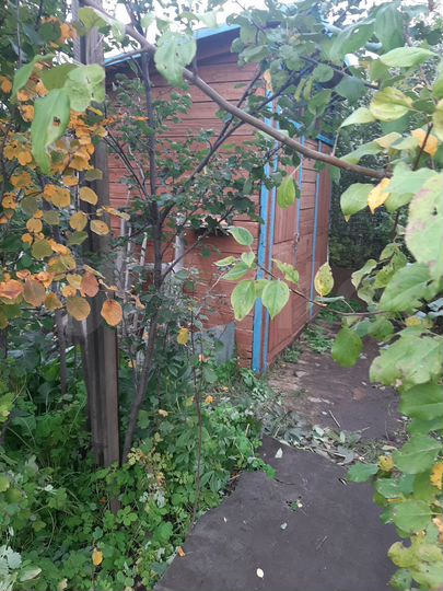 Дача 40 м² на участке 4 сот.