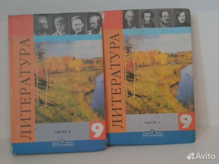 Учебник литературы 9 класс