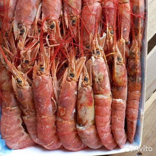 Морепродукты