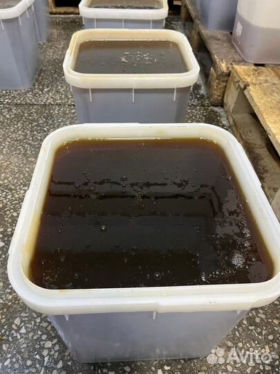 Мёд Разнотравье темное оптом