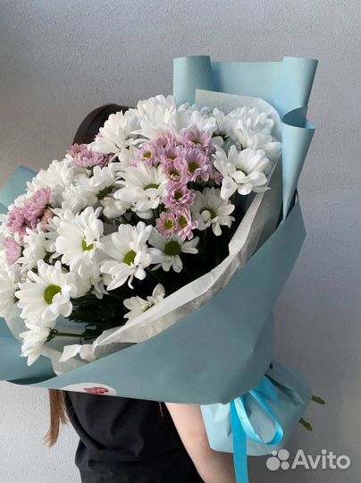 Хризантема кустовая