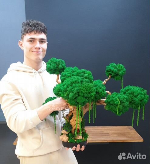 Дерево Бонсай стабилизированный мох