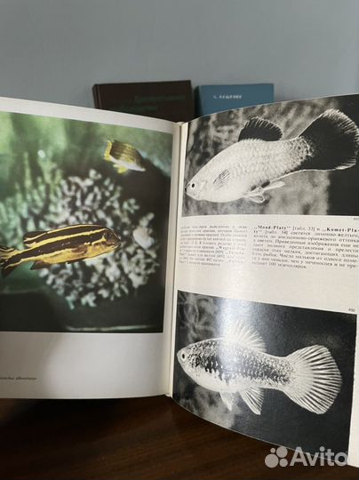 Книги о рыбоводстве охоте рыбалке рыбах