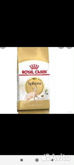 Корм для сфинксов royal canin