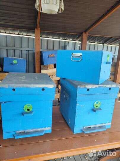 Улей для пчел