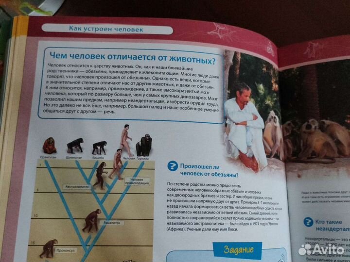 Учебник для детей