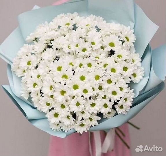 Хризантема Букеты с доставкой