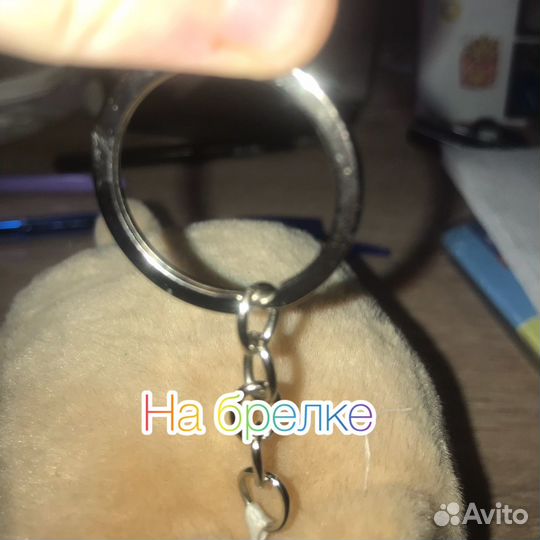 Кот квадрат