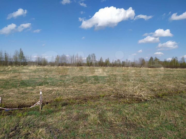 Участок 11,4 сот. (СНТ, ДНП)