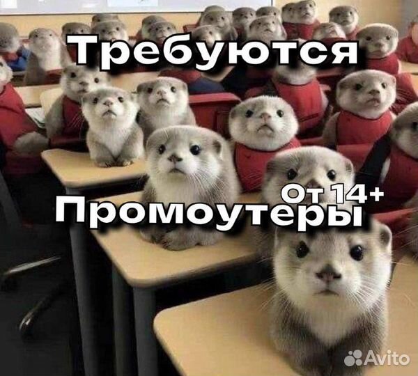 Требуется Промоутер (от 14+)
