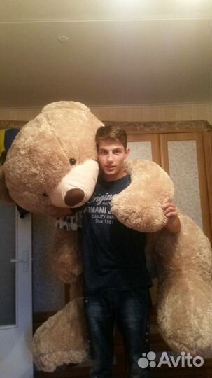 Плюшевые Мишки