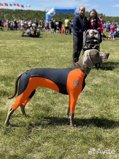 Комбинезон для собак protector snow Non-stop