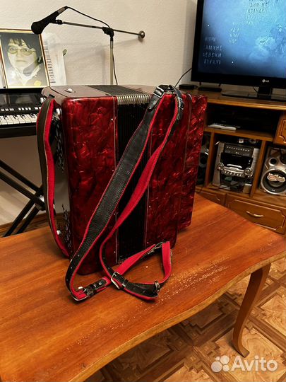 Баян тула 302